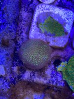 IMG_3477.jpeg