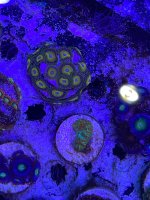 IMG_3472.jpeg