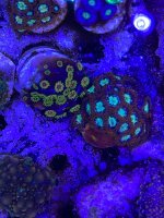 IMG_3471.jpeg