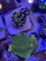 IMG_3470.jpeg