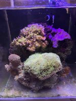 IMG_5433.jpg