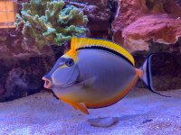 IMG_1158.jpeg