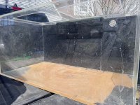 IMG_5811.jpeg