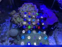 IMG_5468.jpeg