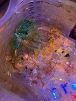 IMG_3799.jpeg