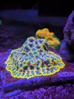 PXL_20251109_020210194.jpg