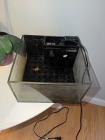 IMG_6202.jpeg