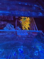 IMG_7201.jpeg