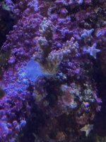 IMG_3821.jpeg