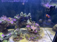 IMG_6763.jpeg