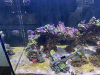 IMG_6762.jpeg