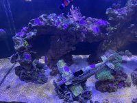 IMG_6757.jpeg
