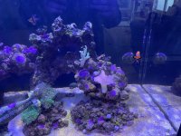 IMG_6758.jpeg