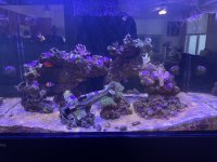 IMG_6756.jpeg