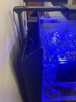 IMG_0422.jpeg