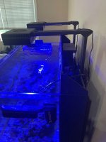IMG_0423.jpeg