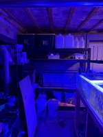 IMG_8559.jpeg