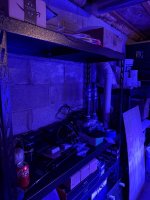 IMG_8558.jpeg