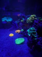 IMG_3828.jpeg