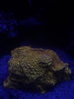 IMG_3830.jpeg