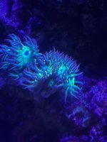 IMG_3831.jpeg