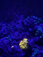 IMG_3833.jpeg