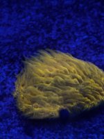 IMG_3835.jpeg