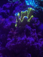 IMG_3834.jpeg
