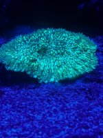 IMG_3836.jpeg