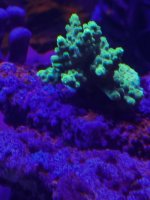 IMG_3837.jpeg