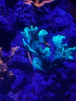 IMG_3840.jpeg