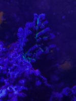 IMG_3841.jpeg