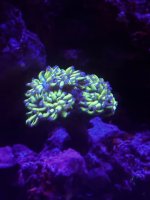IMG_3843.jpeg