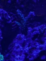 IMG_3847.jpeg
