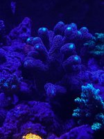 IMG_3848.jpeg