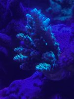 IMG_3849.jpeg