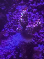 IMG_3850.jpeg