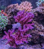 PXL_20260419_164102820.jpg
