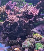 PXL_20260419_164222578.jpg