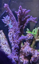 PXL_20260419_163706328~2.jpg