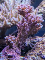 PXL_20260419_163914761.jpg