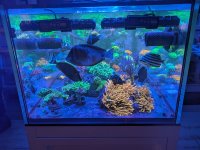 PXL_20260419_024251032.jpg