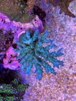 IMG_1557.jpeg