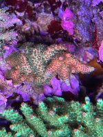 IMG_1552.jpeg