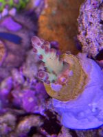 IMG_1546.jpeg