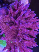 IMG_1544.jpeg
