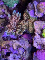 IMG_1539.jpeg
