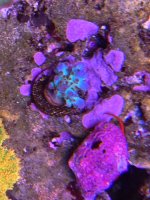 IMG_1534.jpeg