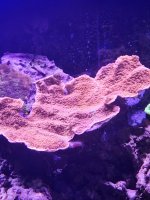 20260420_103659.jpg