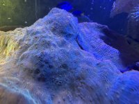 IMG_0262.jpeg